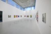 Hans Ticha - Ticha im Brandenburgischen Landesmuseum für modern Kunst, Cottbus