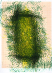 Lev Khesin - 13