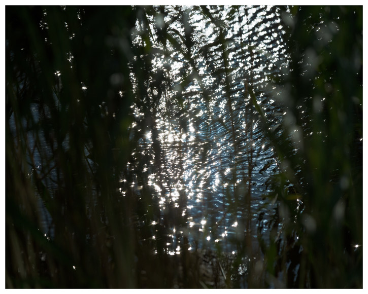 Lev Khesin Ohne Titel - LÄKEMÄKER