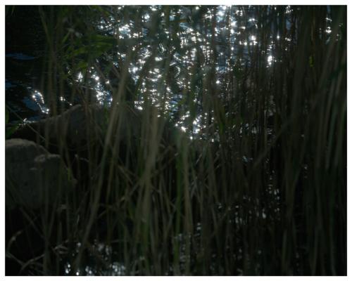 Lev Khesin Ohne Titel - LÄKEMÄKER